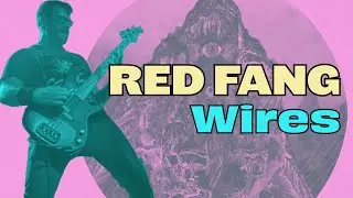 Bass Lesson + Bass TAB // Wires by Red Fang