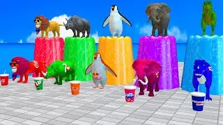 Choose Right Drink with Cow Elephant Gorilla Lion Dinosaur buffalo Wild Animals Games