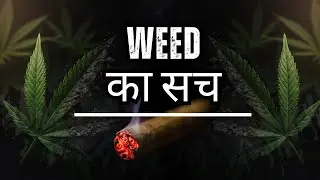 Weed धीरे-धीरे आपकी जिंदगी खा रही है (Science Explained)