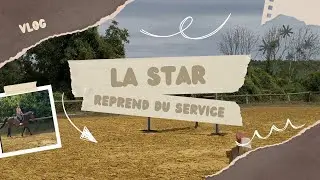 Vlog une journée aux écuries