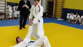 VID 482490531 163841 408