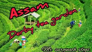 Assam Derby TEA garden  #ride 🏍🏍🏍 😇