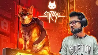Playing stray first time 😺| Shadow x is live | FACE CAM |  #facecam #stray #straycats
