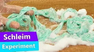 DIY Bilou Schleim EXPERIMENT | Schleim wieder auffrischen!? Z&auml;hen Schleim im Bilou mischen