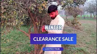 Shop Smart, Dress Sharp! | Khaddar Kraft