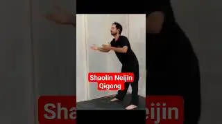 #shaolin #neijin #qigong #chikung #chi #qi #salud #mtc #medicinachina