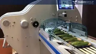 Emplayado de productos