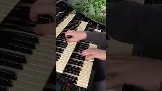The Lady Is A Tramp | Florian Hutter - Wersi Atlantis #shorts #organ #swing