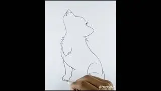 How to draw fox animal easy stap by stap