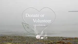 Non profit documentary