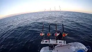 Strike in diretta | battalion inshore Drifting vsx30