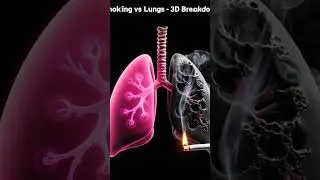 Smoking 🚬 vs Lungs 🫁 3D Animation