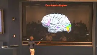 Nancy Kanwisher - The Social Brain: A Hypothesis Space for Understanding Autism (Sept 23, 2014)