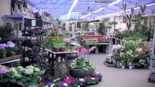Blomsterforretning - Rykkinn - Hageland Bryn B&aelig;rum (Bryn gartneri)
