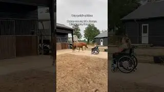 Respect it.Build trust.That&rsquo;s real connection.#paard #horse #horsemanship #horsegirl #horselove