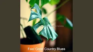 Alluring Ambience for Country Vibes