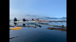 Canada  4 day kayak trip from Telegraph Cove, Vancouver Island