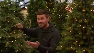 Film om Kunstige Juletr&aelig;r