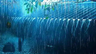Goodbye Insomnia With Heavy RAIN Sound | Rain Sounds On Old Roof In Foggy Forest At Night, ASMR