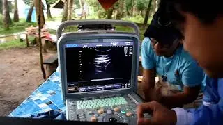 Dokter Hewan Sedang melakukan USG Gajah untuk memastikan Gajah Jinak ini Hamil atau tidak