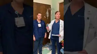 PCA: Priming Tubing & Loading Syringe