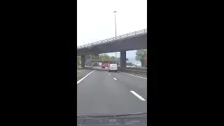 Driver dies after timber crashes onto motorway #Glasgow #News #Scotland