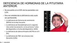 Clase 4: Efectos tard&iacute;os en Sindromes histioc&iacute;ticos