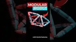 Scientists Create Self-Assembling Robots