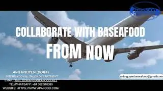BASEAFOOD VIETNAM| BA RIA-VUNG TAU STRATEGIC SEAFOOD PROCESSING LOCATION