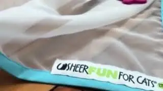 Sheer Fun Cat Toy Review ❤️Olive and Rye Cats