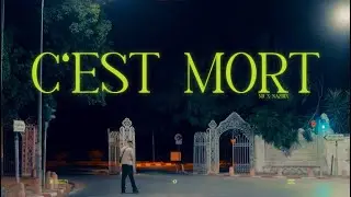 NB - C&rsquo;est mort feat NAZDIX (visualizer)
