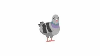 Pigeon Spin 2