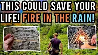 EASY Fires from THREE different birch species! | #camping #survival #fire