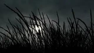 Arsyn 'Decision Day' Teaser Trailer