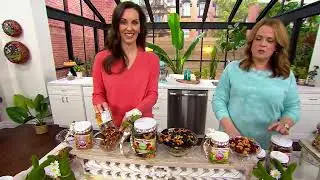 Germack 1 Large Jar & 2 Mini Jars Fruit & Nut Spring Mixes on QVC