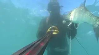 el Greco spearfishing at shallow depths - mediterranean hybrid 80 - Costas Lyras - sea bass