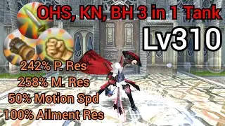 Tank OHS KN BH 3 in 1 Lv310 Build | Toram Online