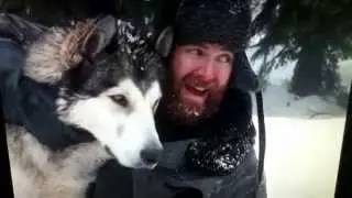 Call of the Wild: Spitz and Buck fight