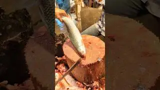 Amazing Rohu Fish Cutting in Bangladesh Fish Market | Expert Butcher Skill Part 66 #shorts #fishcutt