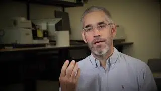 PhenoCam