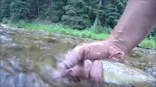 Summer Trout Fishing in the Backwoods of Colorado