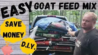 Milk Goat Feed Mix ll Save Money