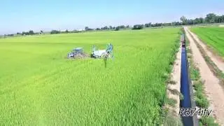 RICE BLAST TREATMENT - NEW HOLLAND TS135A Iron Wheels + BERTHOUD Sprinter 25-26