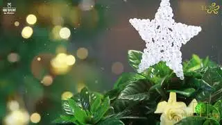 С Новым годом. Greendecor