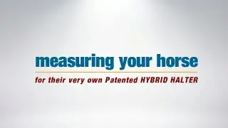 How to Measure Your Horse for the Patented HYBRID Halter