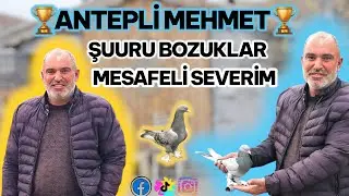 ANTEPLİ MEHMET Kuşculuk serüveni ve şuuru bozuklar iyi seyirler ✅️ #keşfet #oyunkusu #viral #shorts 