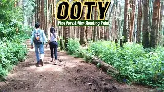 Ooty Vlog | Ooty Shooting Spot | Pine Forest Film Shooting Location | Ooty Tourist Places Guide EP-2