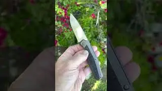 CKF /  Philippe Jourget FIF20 With Carbon Fiber Inlay