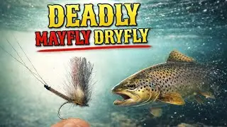 Easy Mayfly Fly Tying for Beginners!