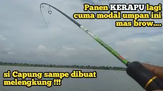 PANEN KERAPU LAGI DI SPOT PANTAI MARINA CUMA MODAL UMPAN INI !!! MANCING SEMARANG TERBARU (11/03/21)